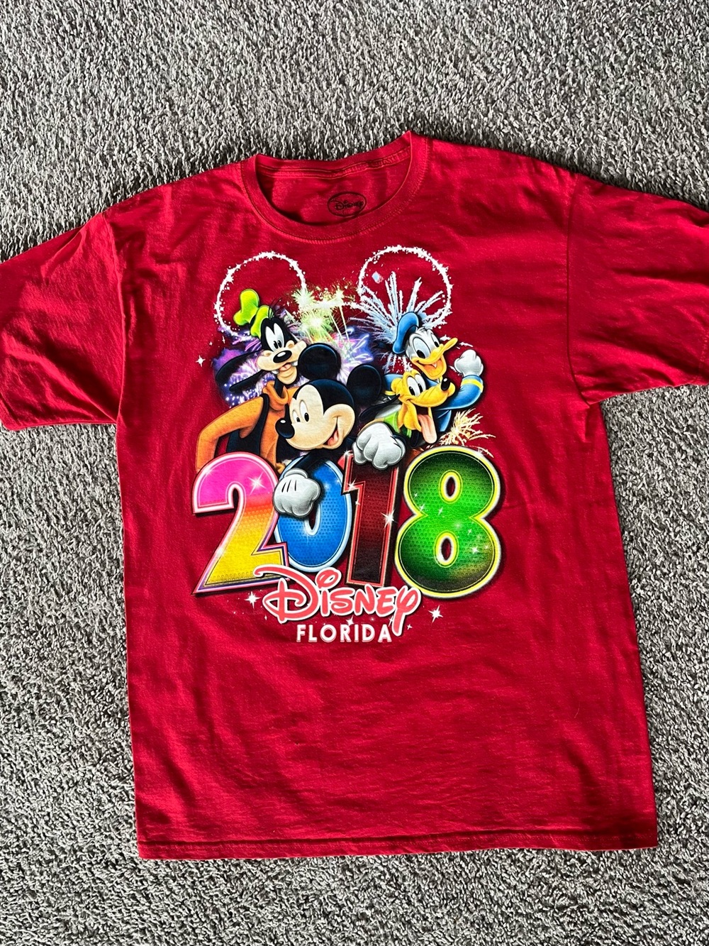 Disney Florida 2018 Mickey Donald Goofy Pluto Men’s Large Tee